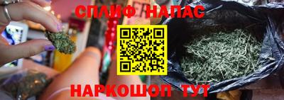 хмурый Будённовск